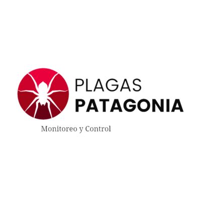 Patagonia
